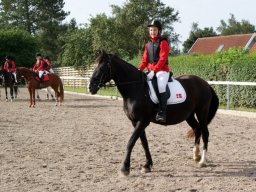 543531_10151090364183585_130921445_n